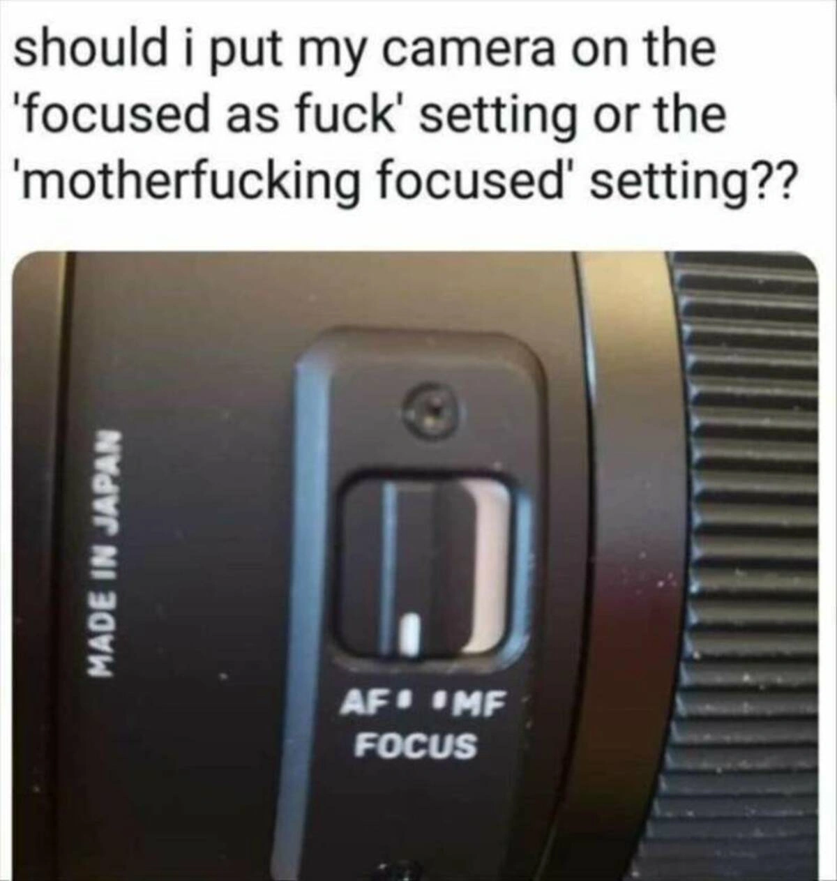 37 Whimsical Photos to Kickstart Your Thursday Morning