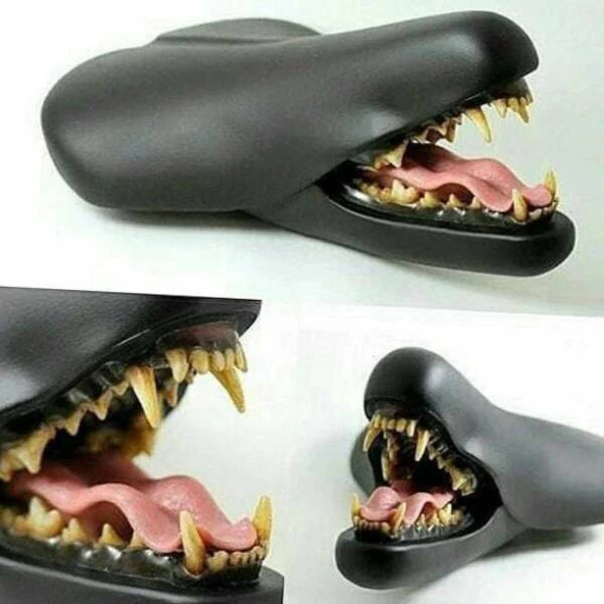 37 Whimsical Photos to Kickstart Your Thursday Morning