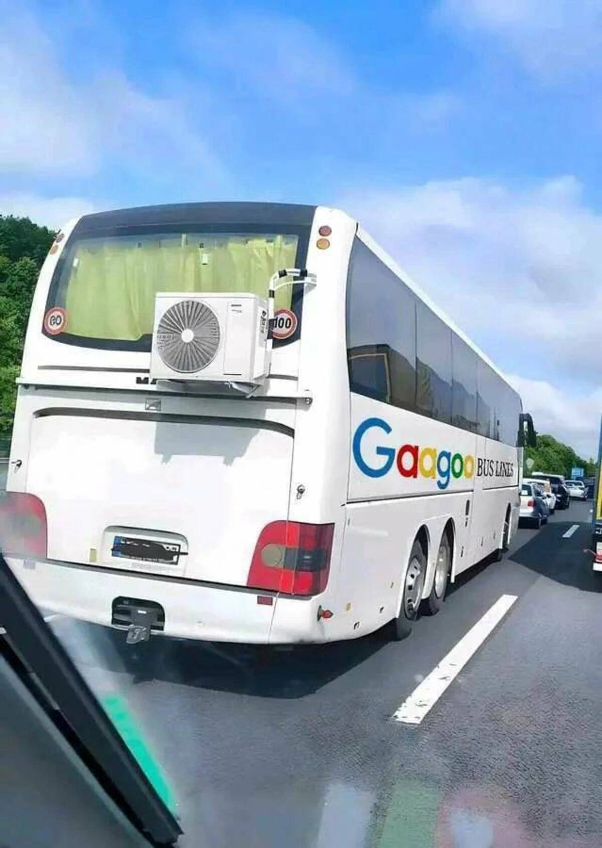 37 Whimsical Photos to Kickstart Your Thursday Morning