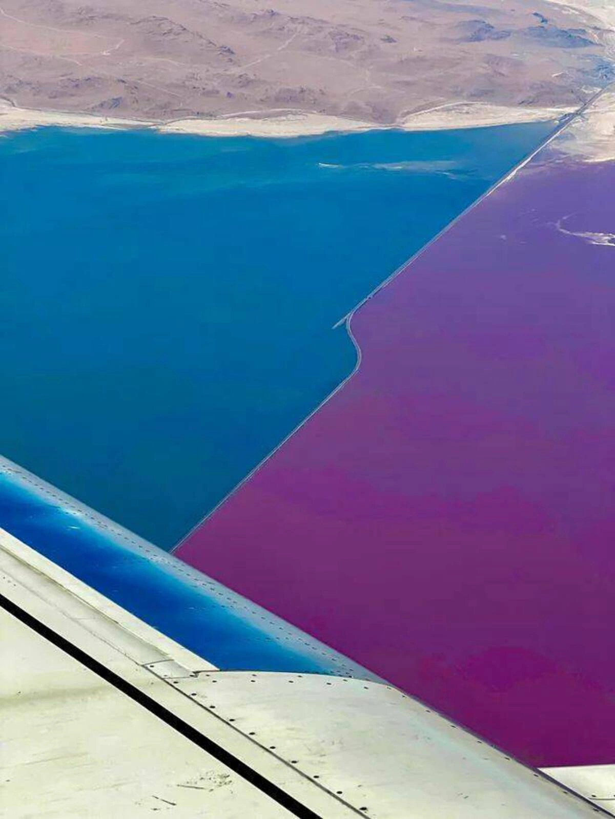 37 Whimsical Photos to Kickstart Your Thursday Morning