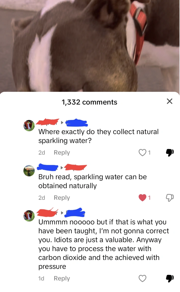 20 Individuals Who Lack Understanding in Their Conversations