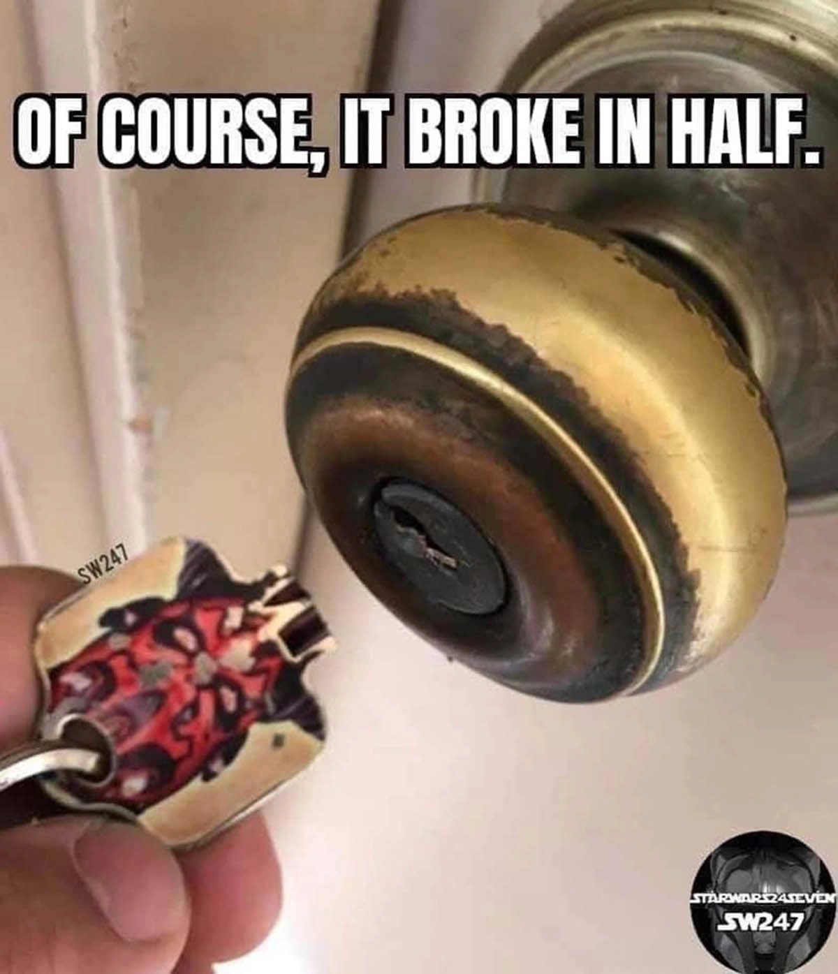Sunday Serenity: 36 Trending Pics and Memes to Delight Your Mind