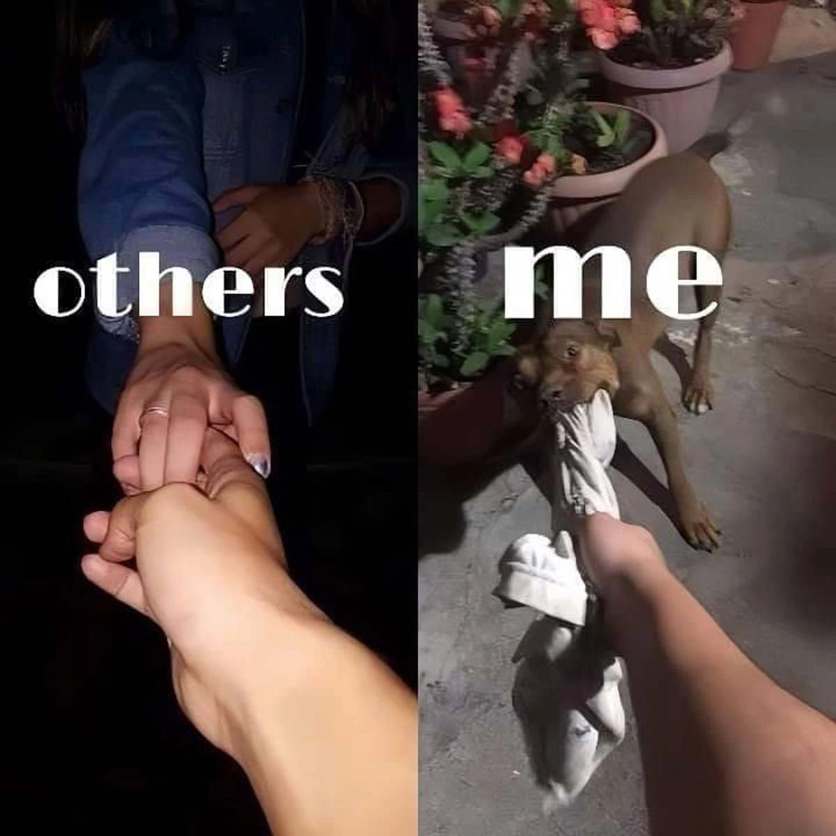 Sunday Serenity: 36 Trending Pics and Memes to Delight Your Mind