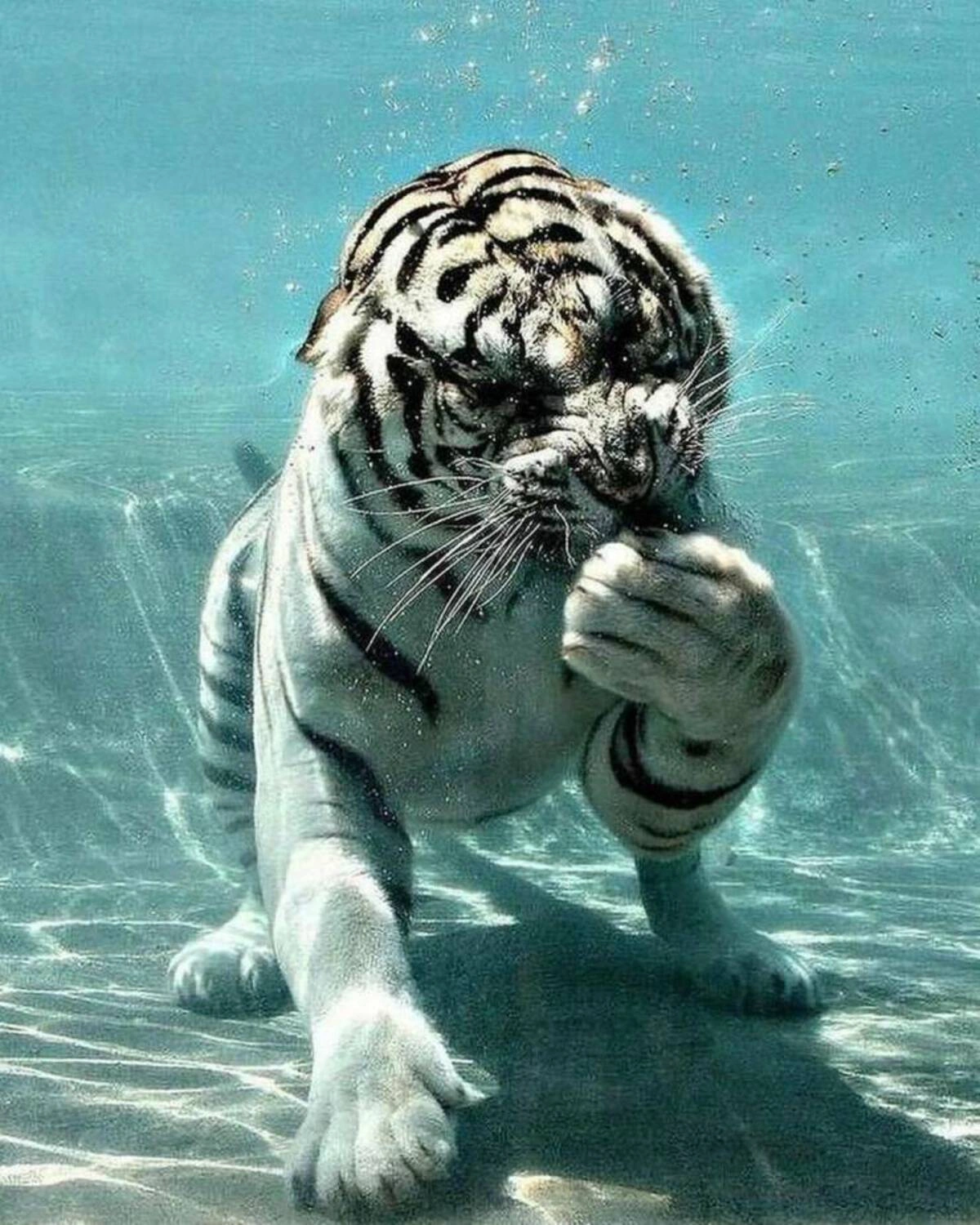 Midweek Madness: 46 Hilarious Pics and Memes Freshly Woken Up