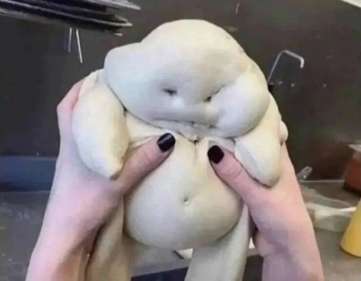 Midweek Madness: 46 Hilarious Pics and Memes Freshly Woken Up