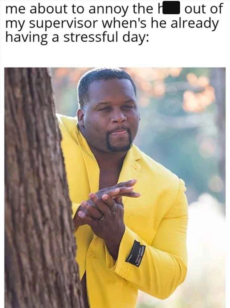 23 Hilarious Work Memes to Help You Cruise Into Friday