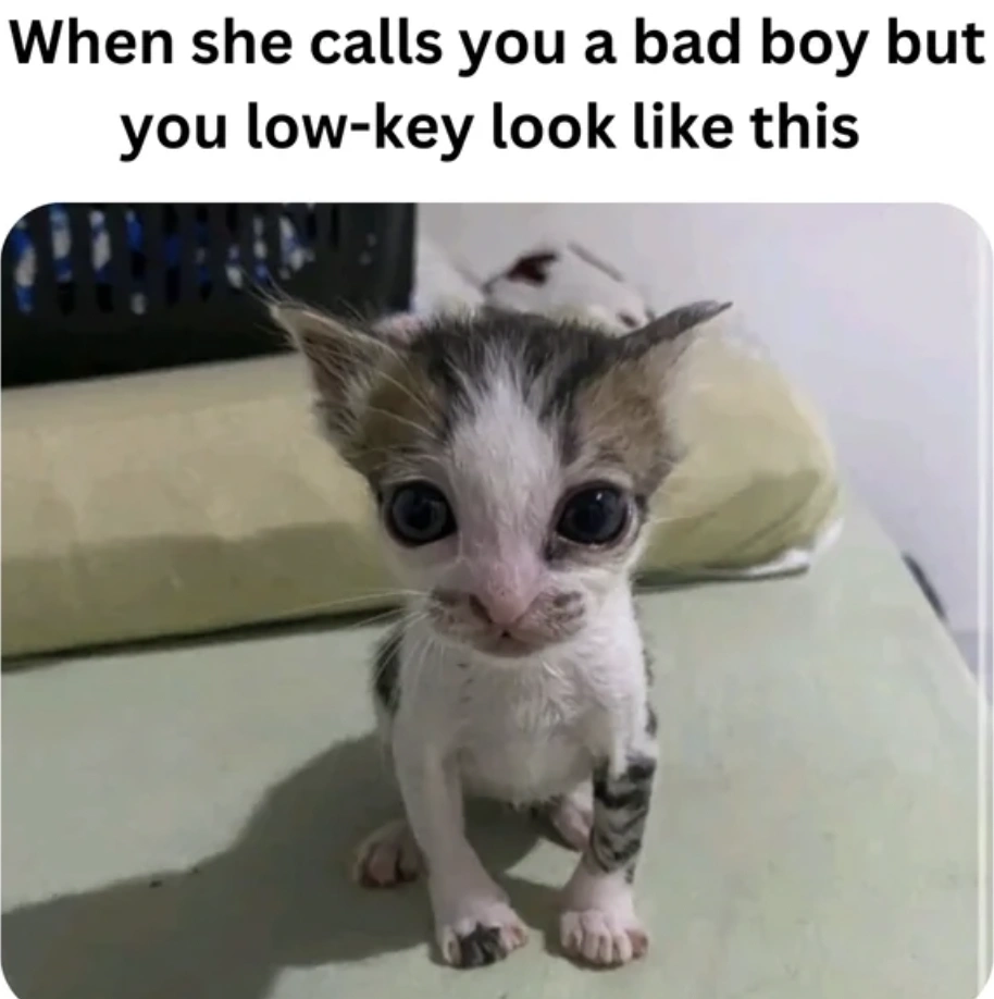 40 Midnight Musings for the Nocturnal Souls