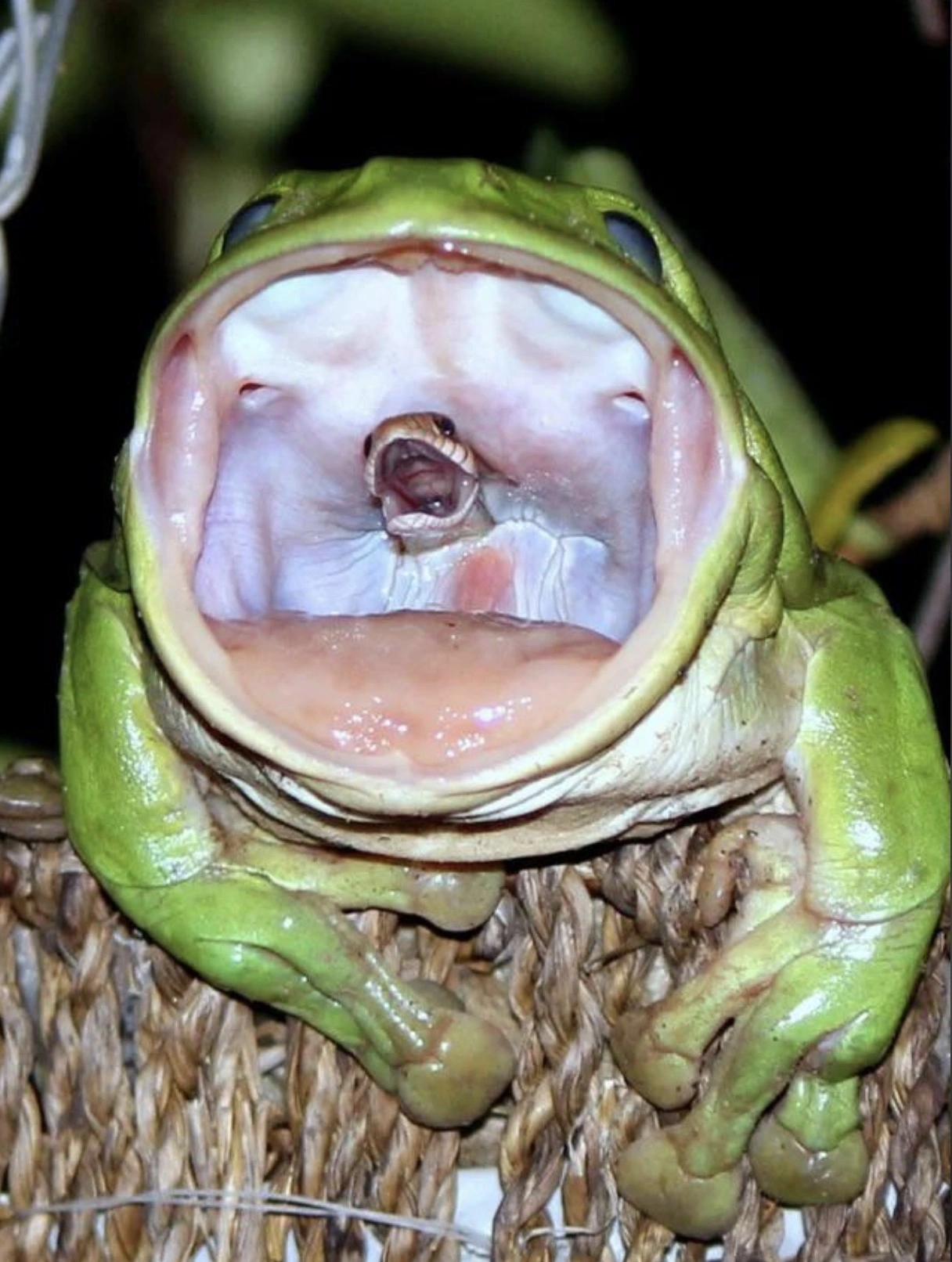 33 Captivating Images to Elevate Your Sunday