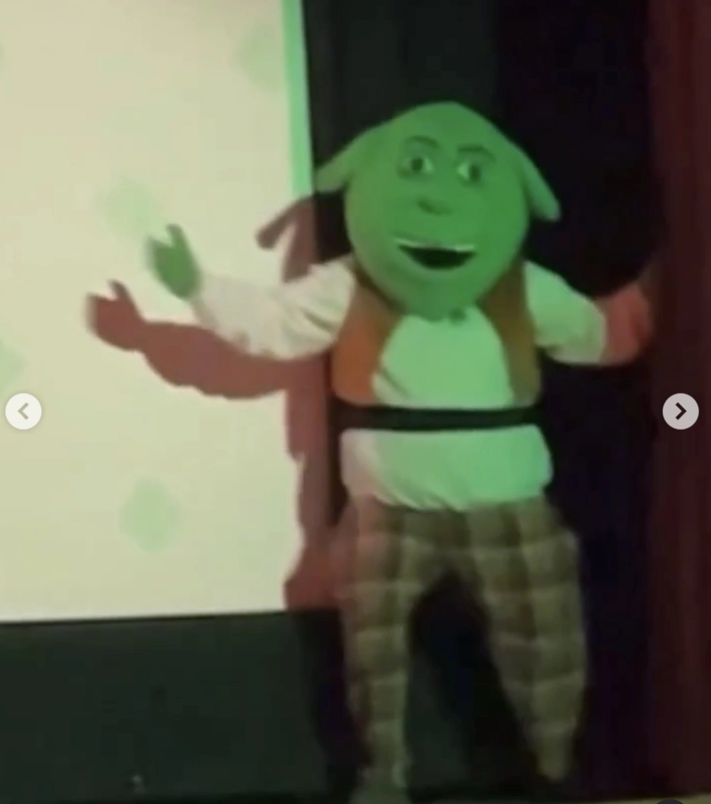 32 Green-tastic Moments from ShrekFest that'll Leave You Feeling Ogre-whelmed