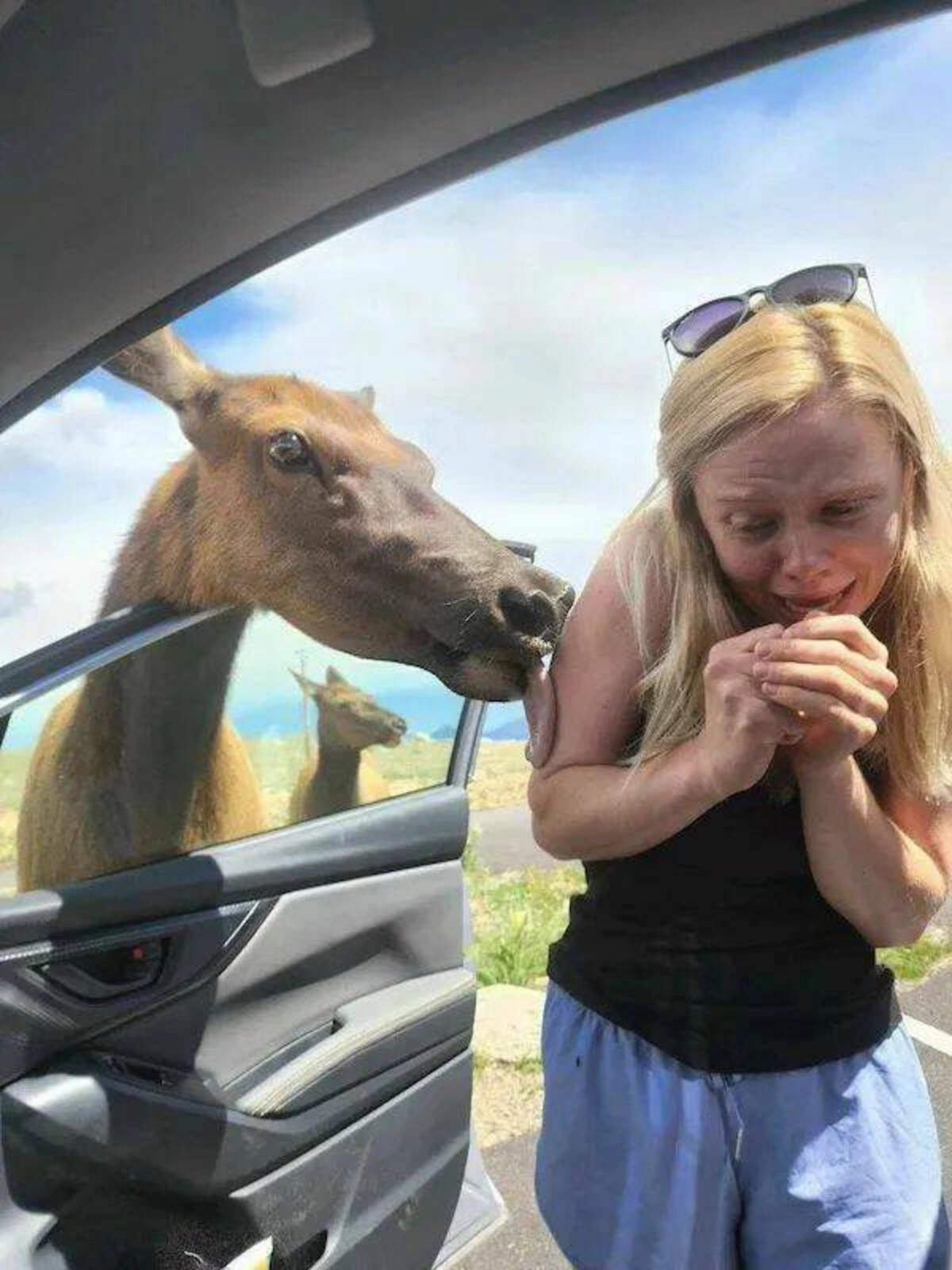 Start Your Week with a Dose of Randomness: 42 Fresh Pics and Memes to Brighten Your Monday