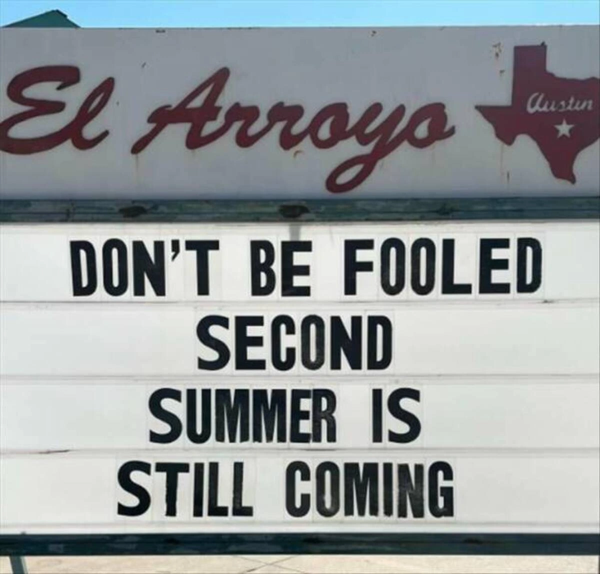 Start Your Week with a Dose of Randomness: 42 Fresh Pics and Memes to Brighten Your Monday