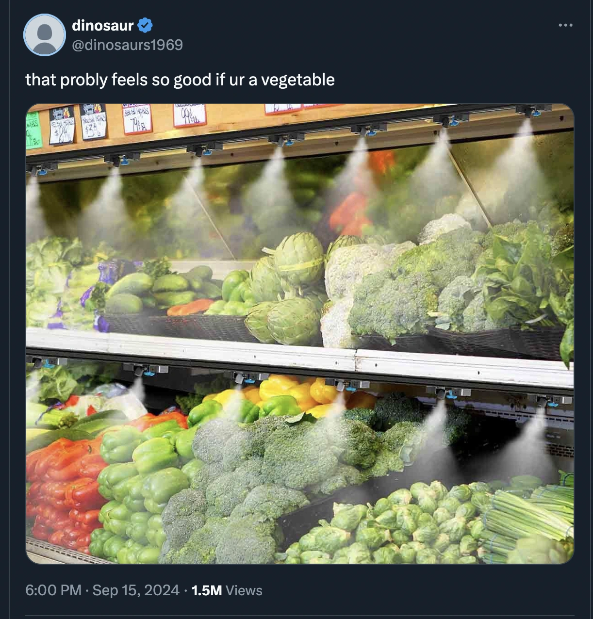 Laugh Out Loud: The Top 50 Hilarious Tweets of the Day