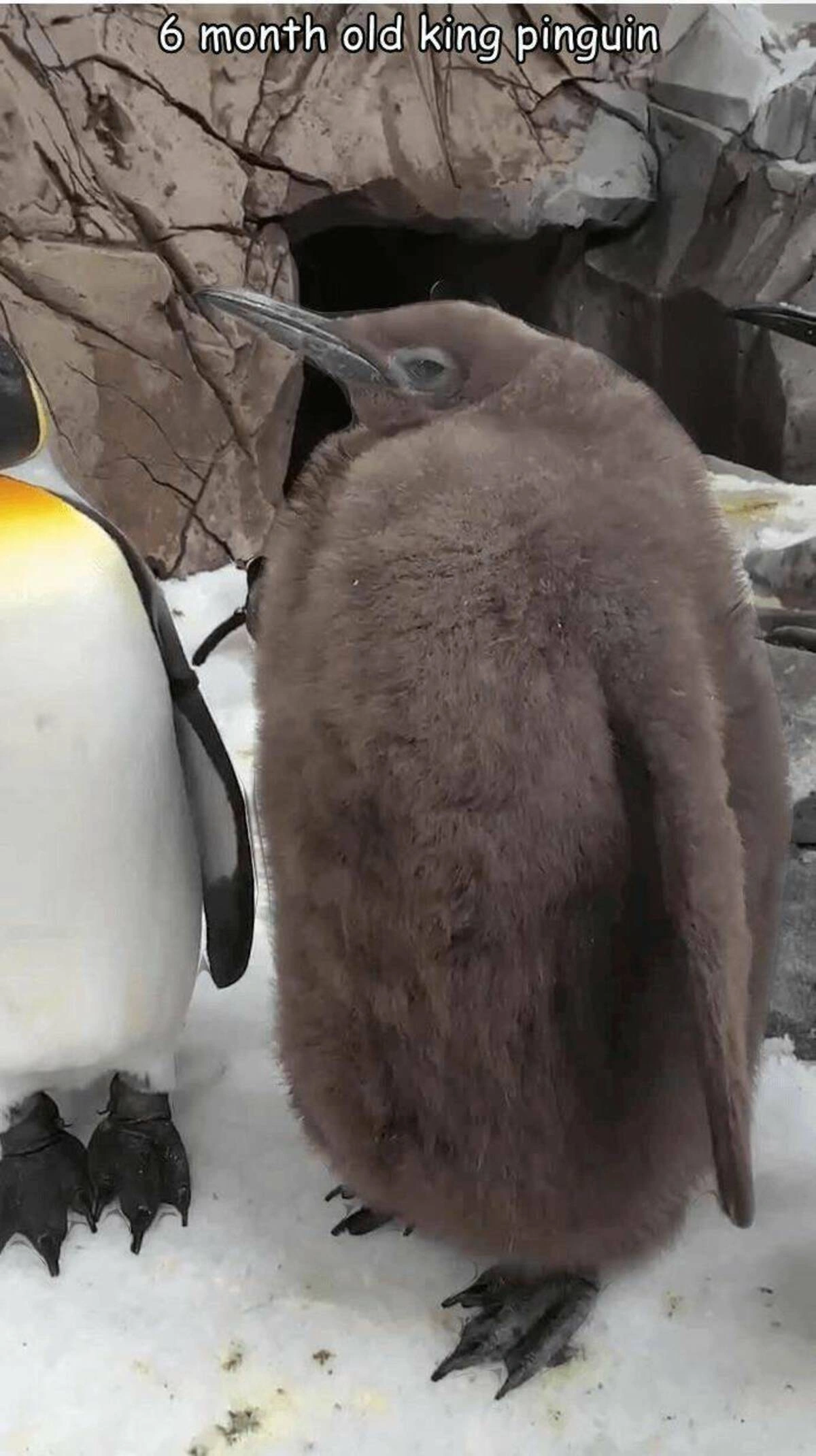 Start Your Friday with a Laugh: 46 New Memes to Brighten Your Day