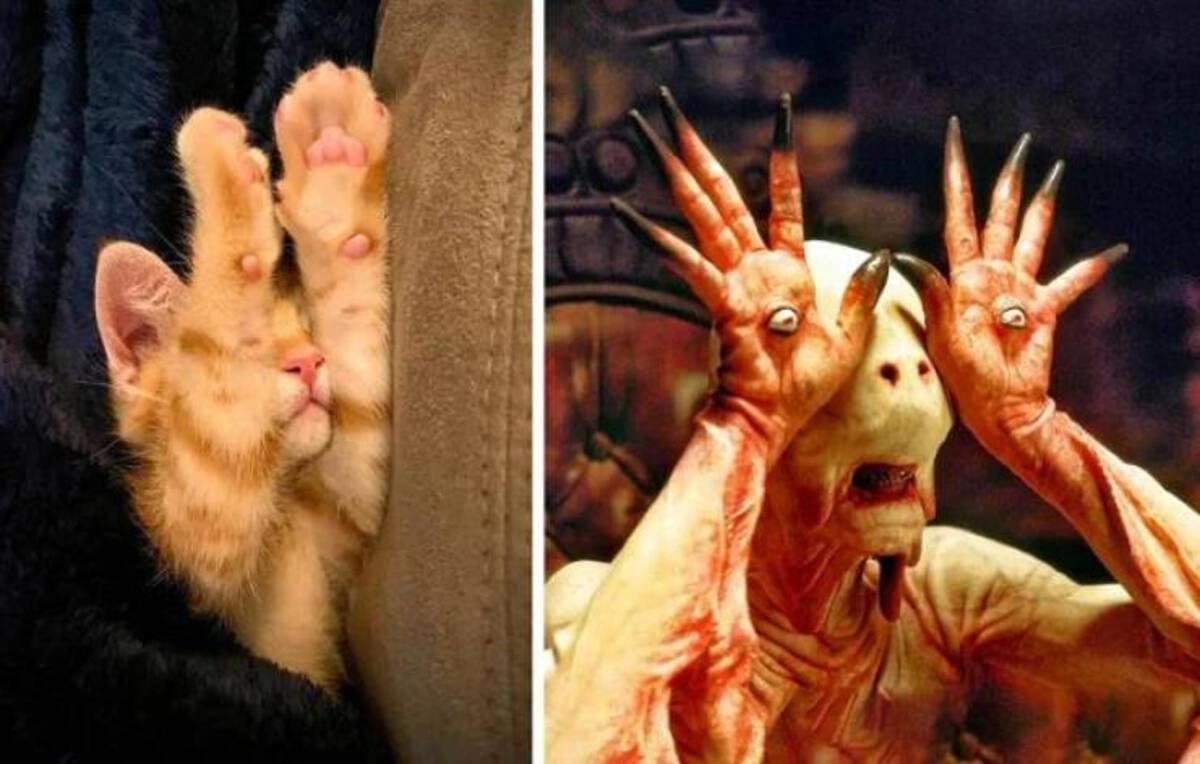 Start Your Friday with a Laugh: 46 New Memes to Brighten Your Day