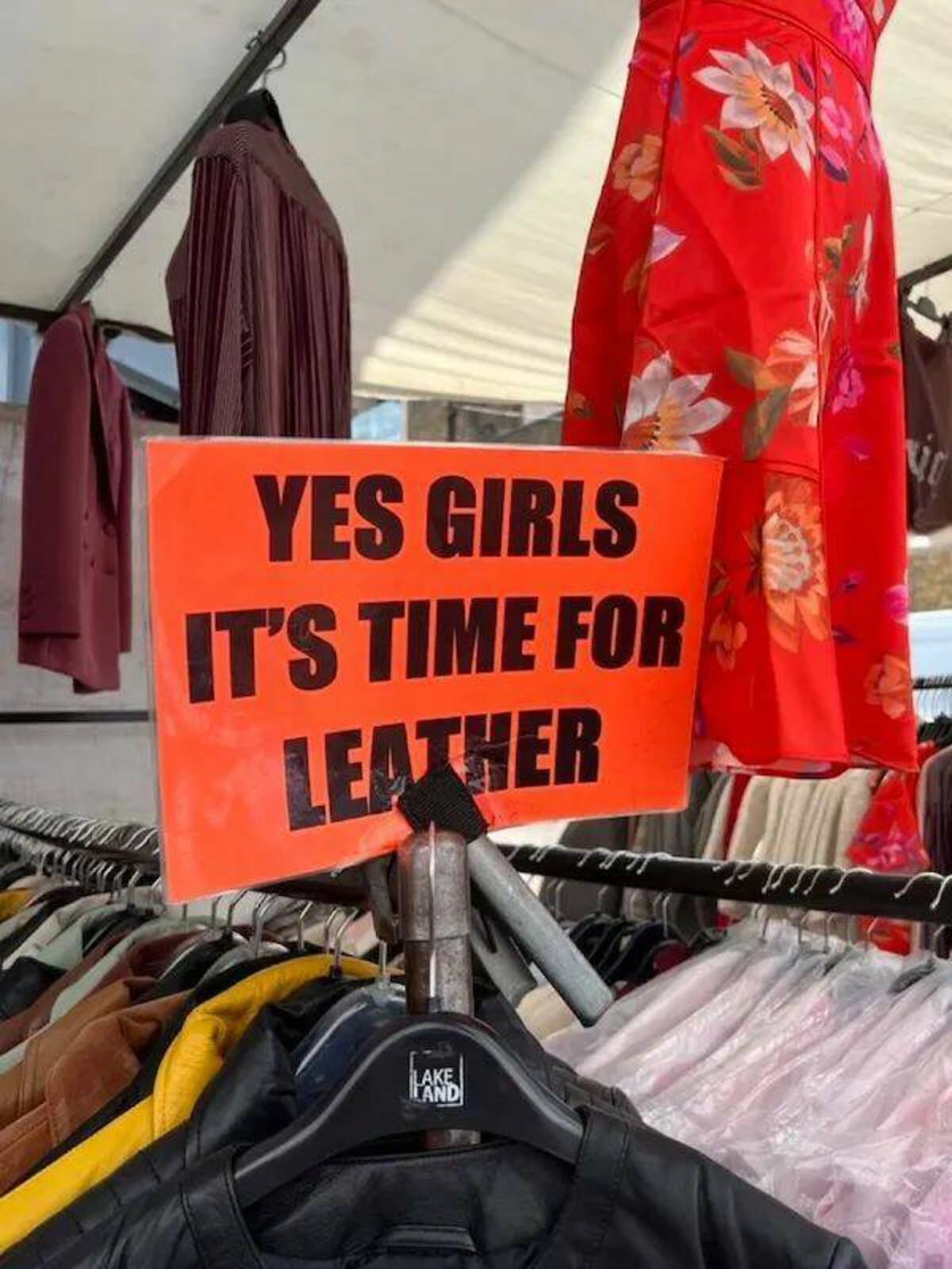 Start Your Friday with a Laugh: 46 New Memes to Brighten Your Day