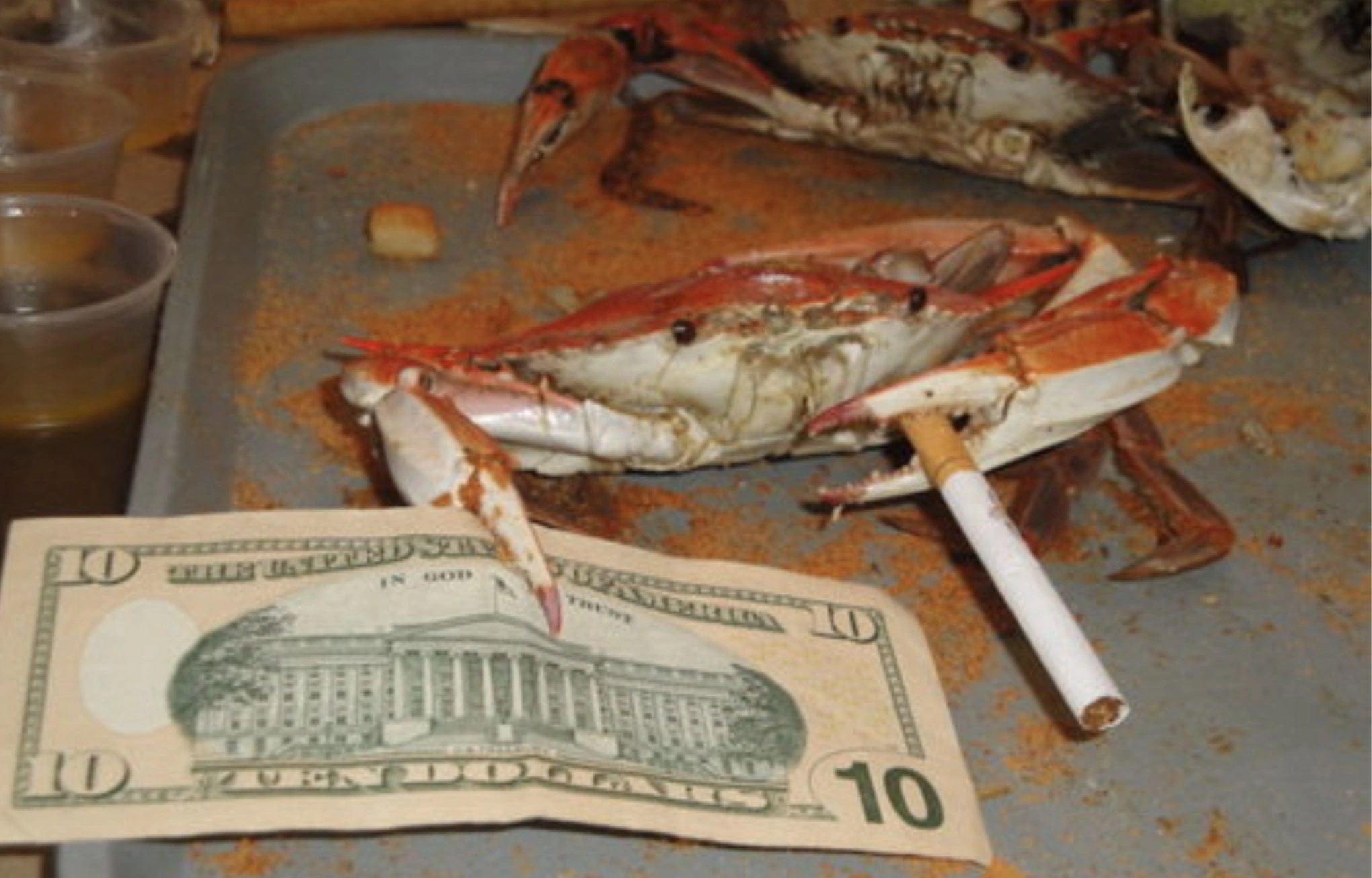 33 Crabs Eager to Hit the Dance Floor