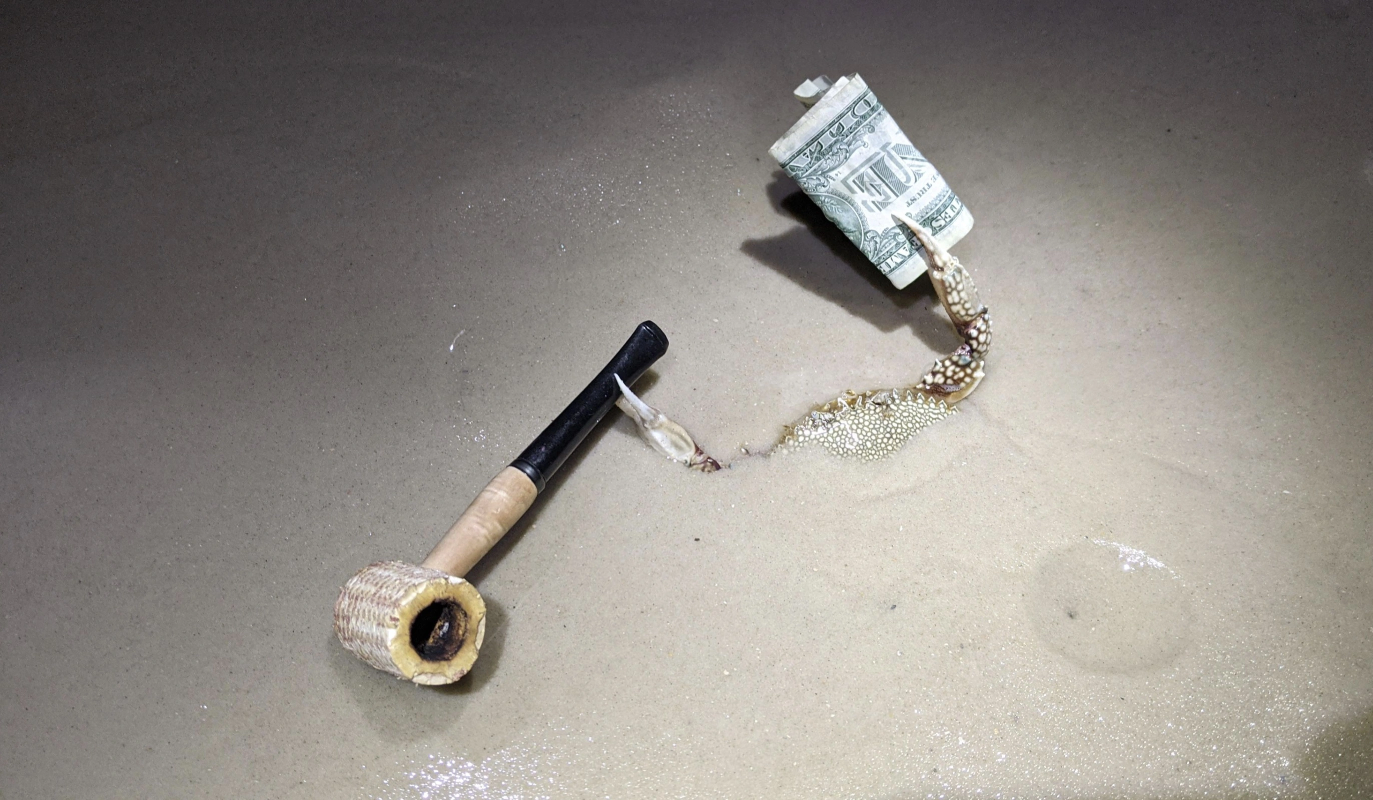 33 Crabs Eager to Hit the Dance Floor