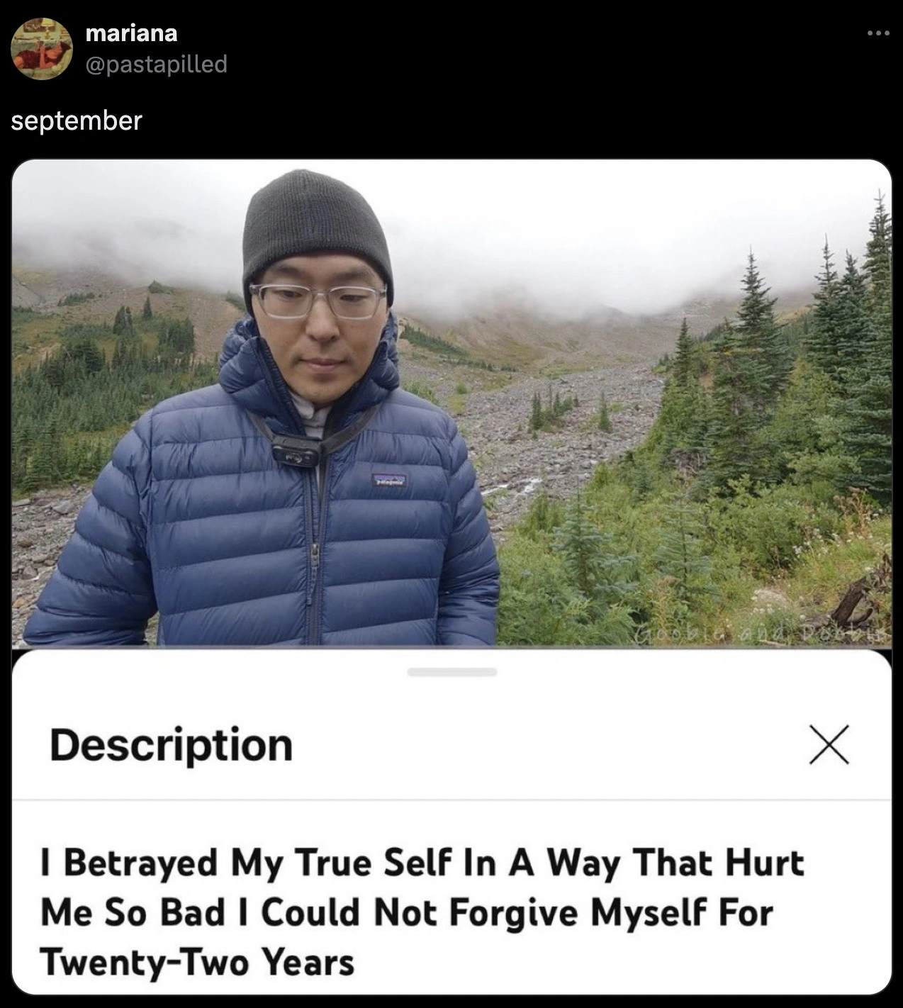 40 Hilarious Tweets to Brighten Your Weekend