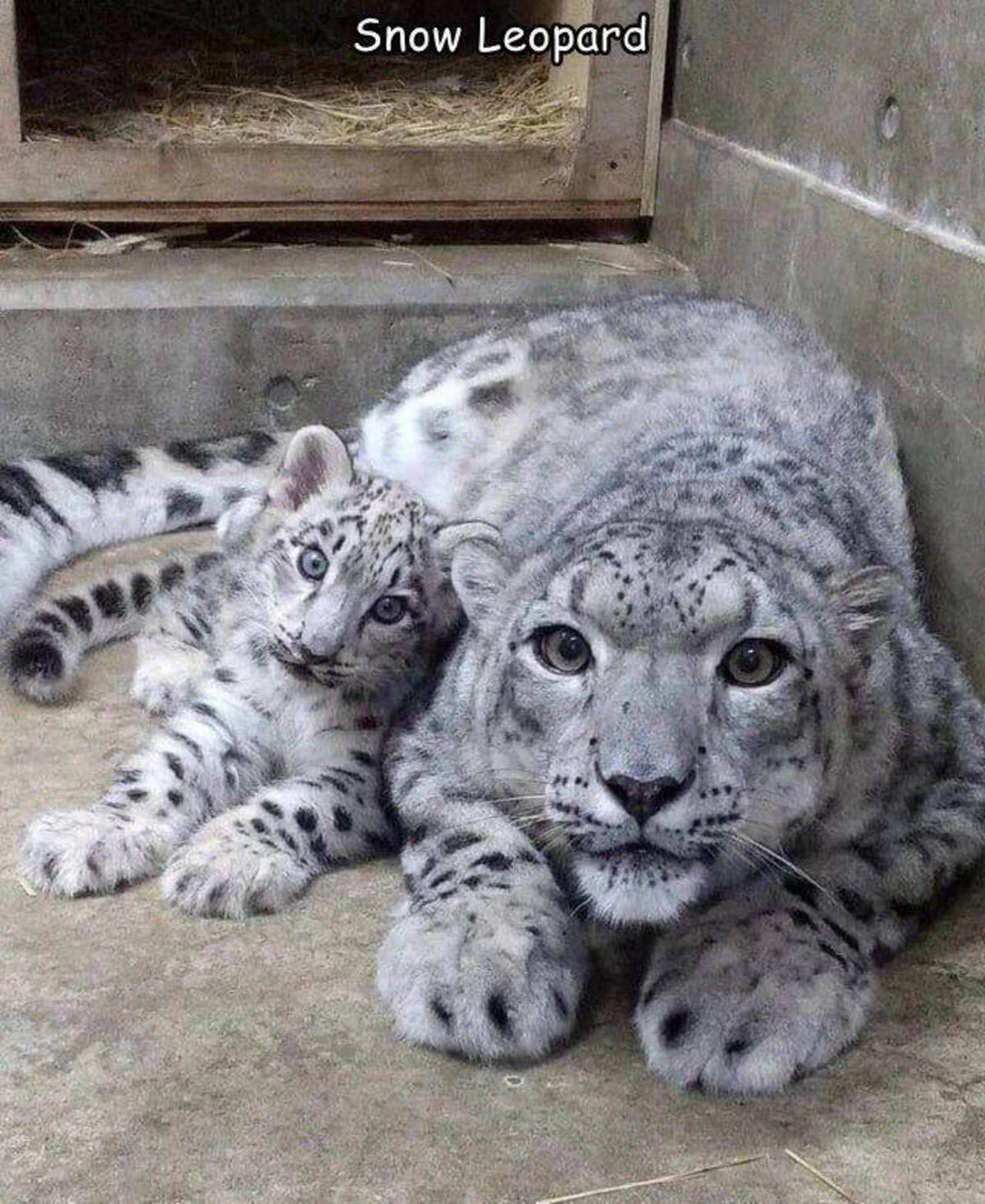 Monday Morning Mix: 39 Fun Pics and Memes to Brighten Your Day