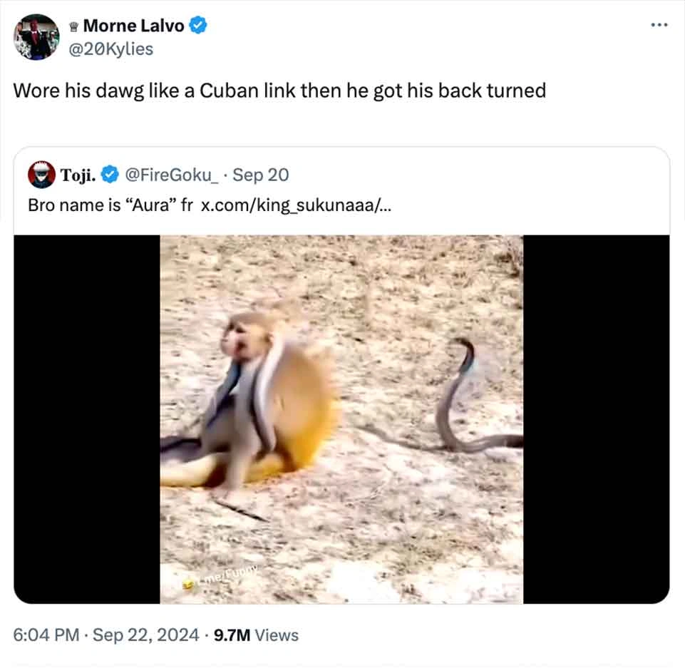 Laugh Out Loud: The Top 50 Tweets of the Day That Will Have You in Stitches