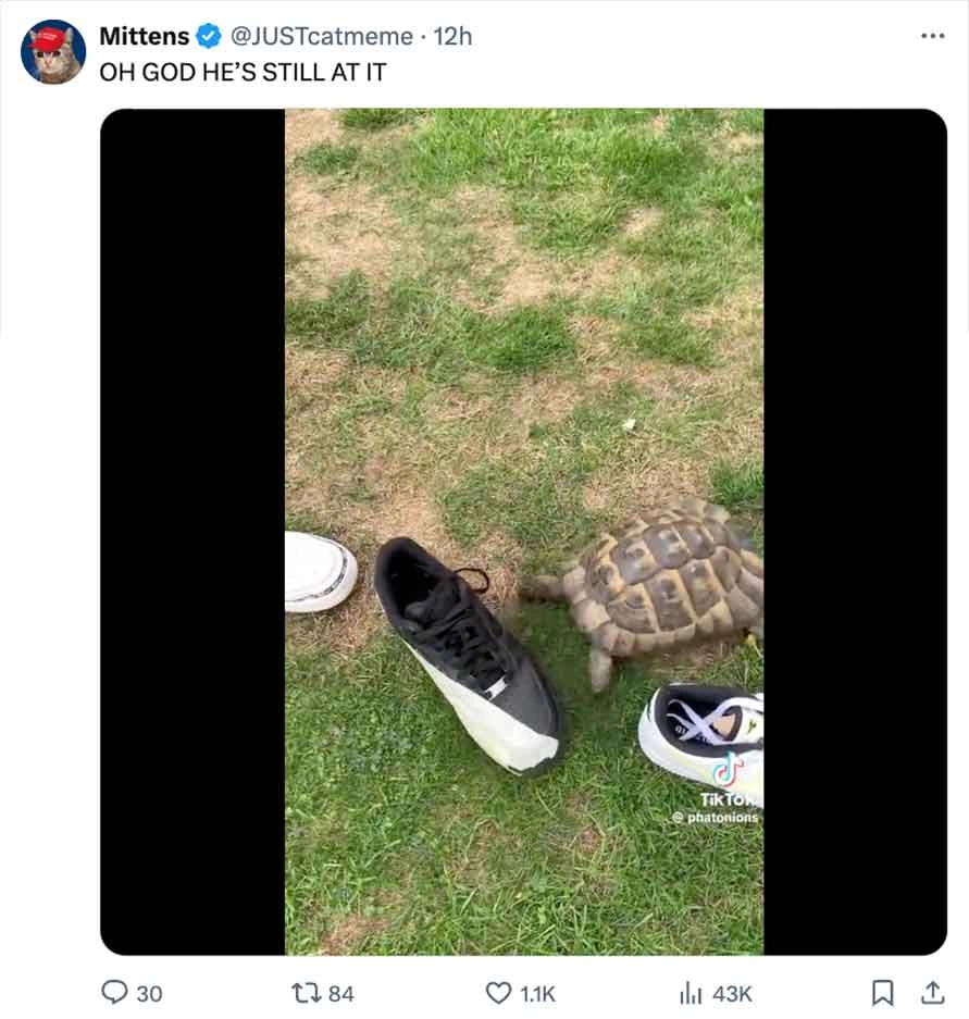 Laugh Out Loud: The Top 50 Tweets of the Day That Will Have You in Stitches