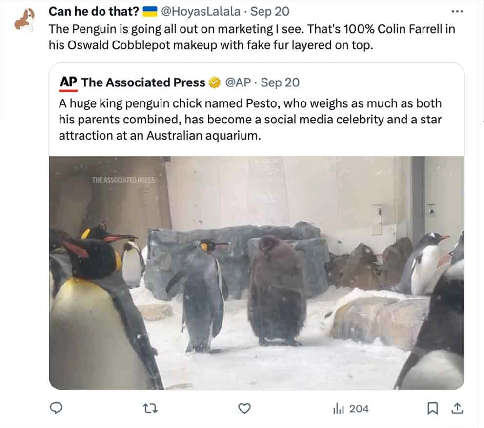 Move Over Moo Deng, Pesto Penguin is the Latest Craze