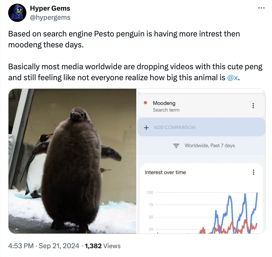 Move Over Moo Deng, Pesto Penguin is the Latest Craze