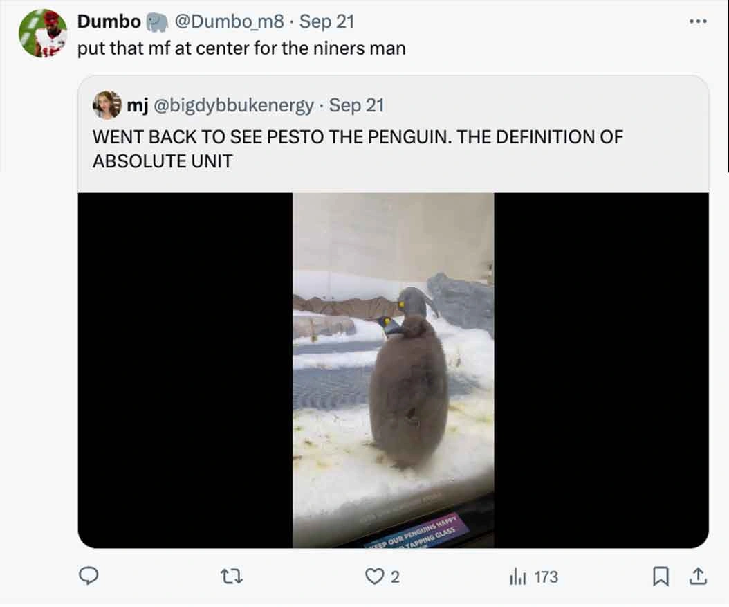 Move Over Moo Deng, Pesto Penguin is the Latest Craze