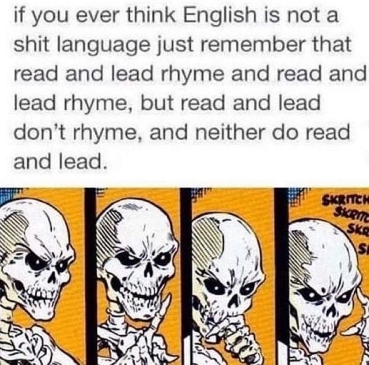 37 Random Surprises to Brighten Your Tuesday Morning