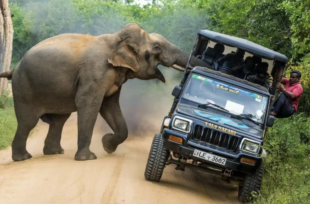 31 Hilarious Pics and Memes for a Lunchtime Laugh