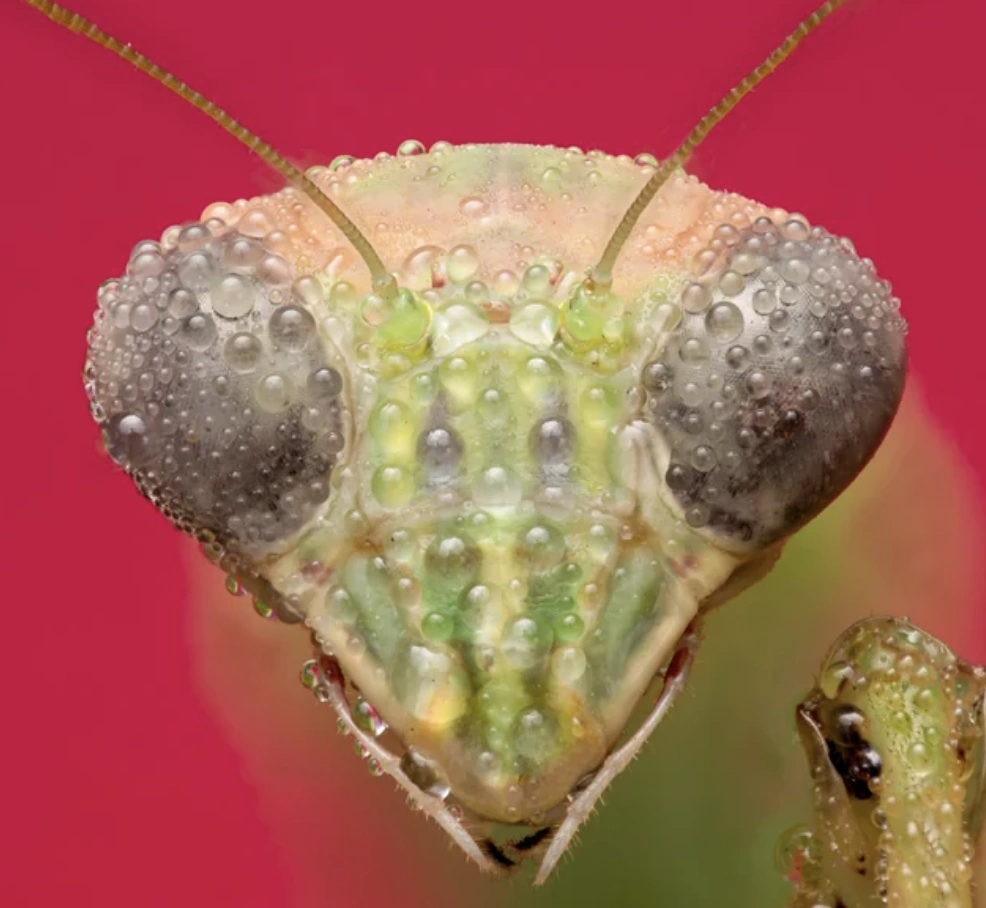 31 Hilarious Pics and Memes for a Lunchtime Laugh