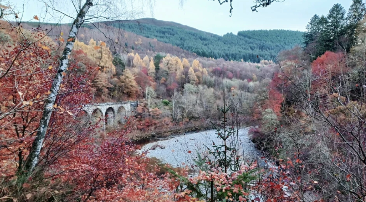 31 Hilarious Pics and Memes for a Lunchtime Laugh