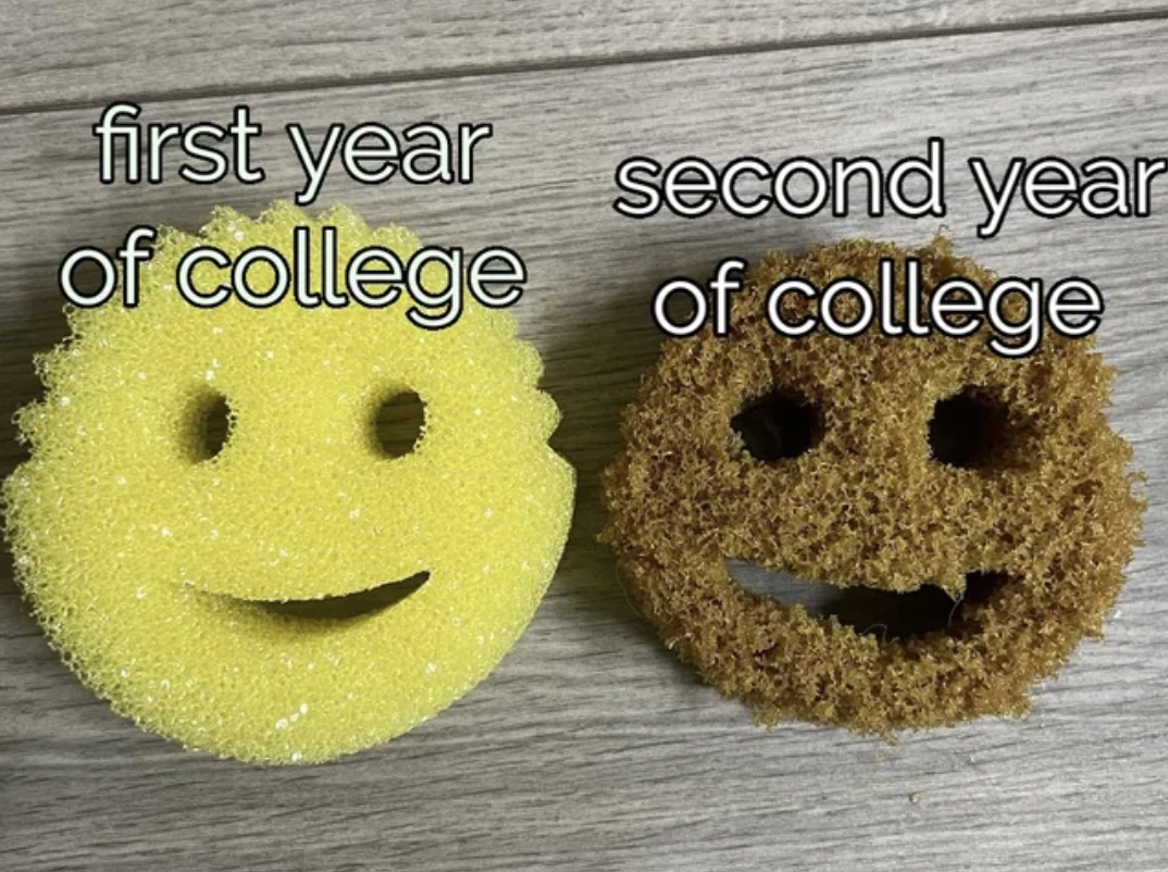 31 Hilarious Pics and Memes for a Lunchtime Laugh