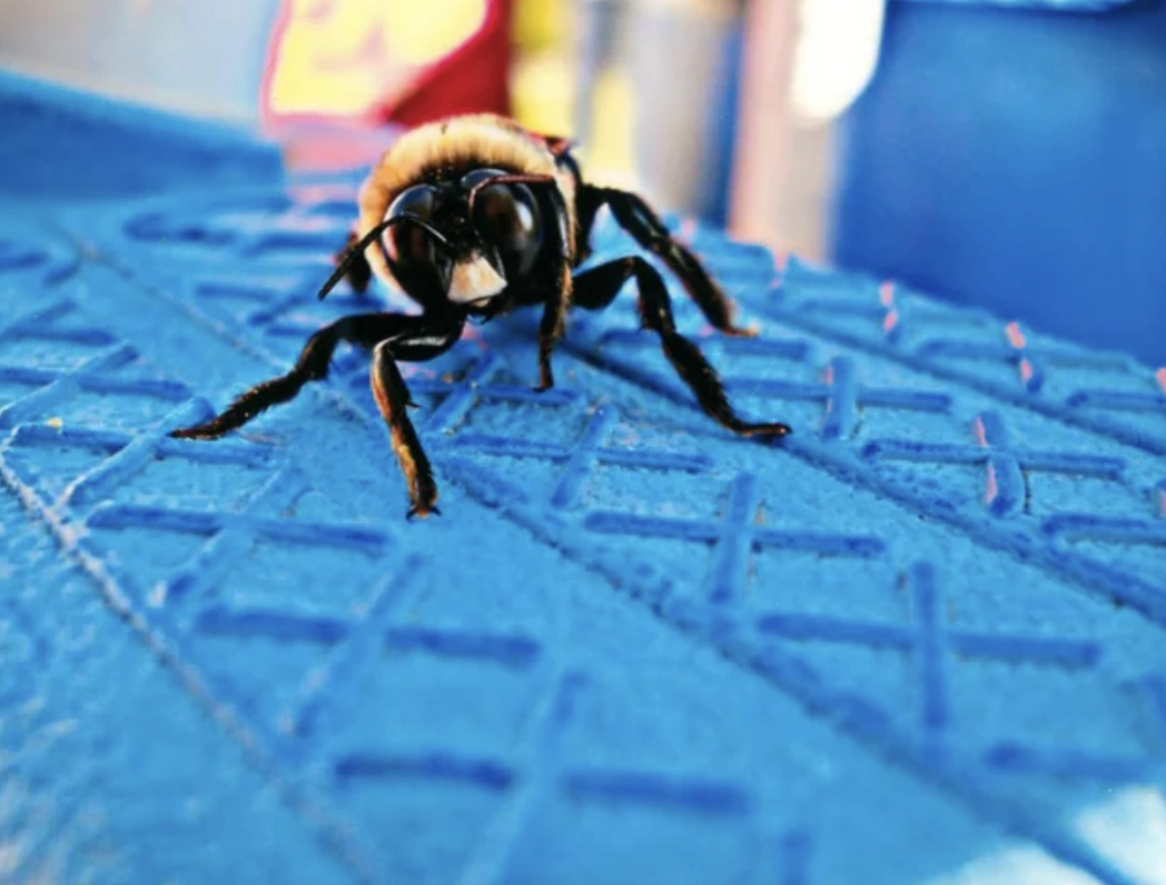 31 Hilarious Pics and Memes for a Lunchtime Laugh