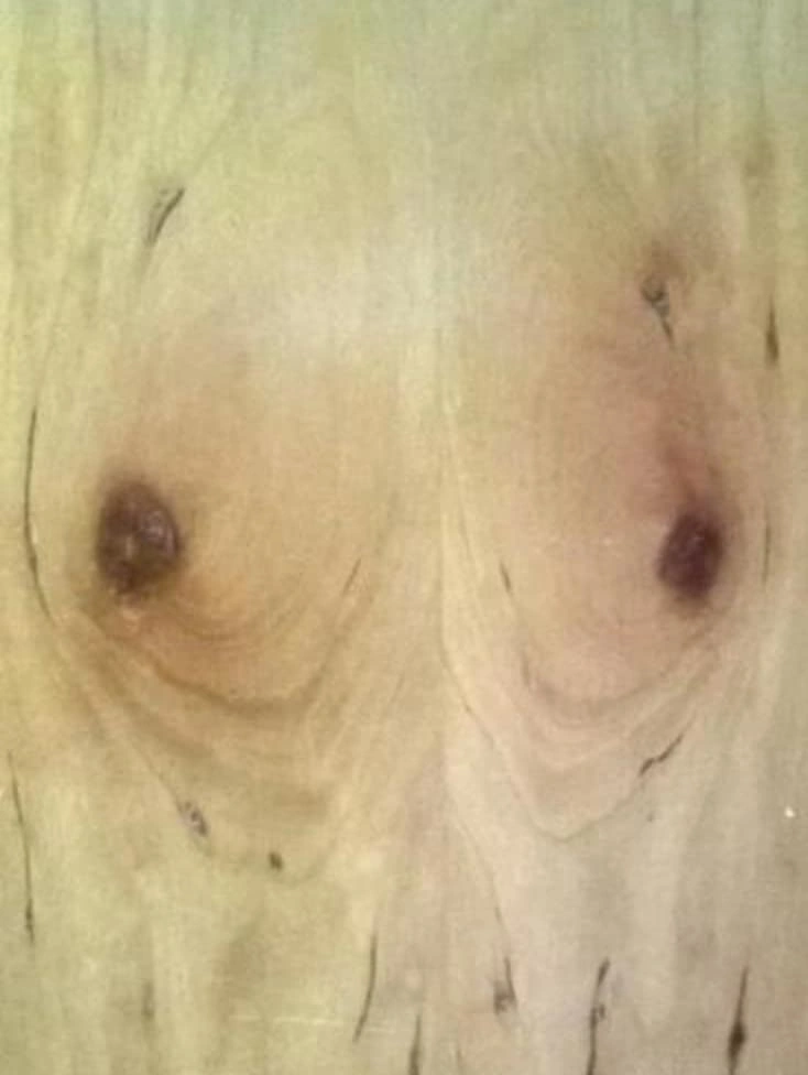 20 Objects That Unintentionally Resemble Breasts