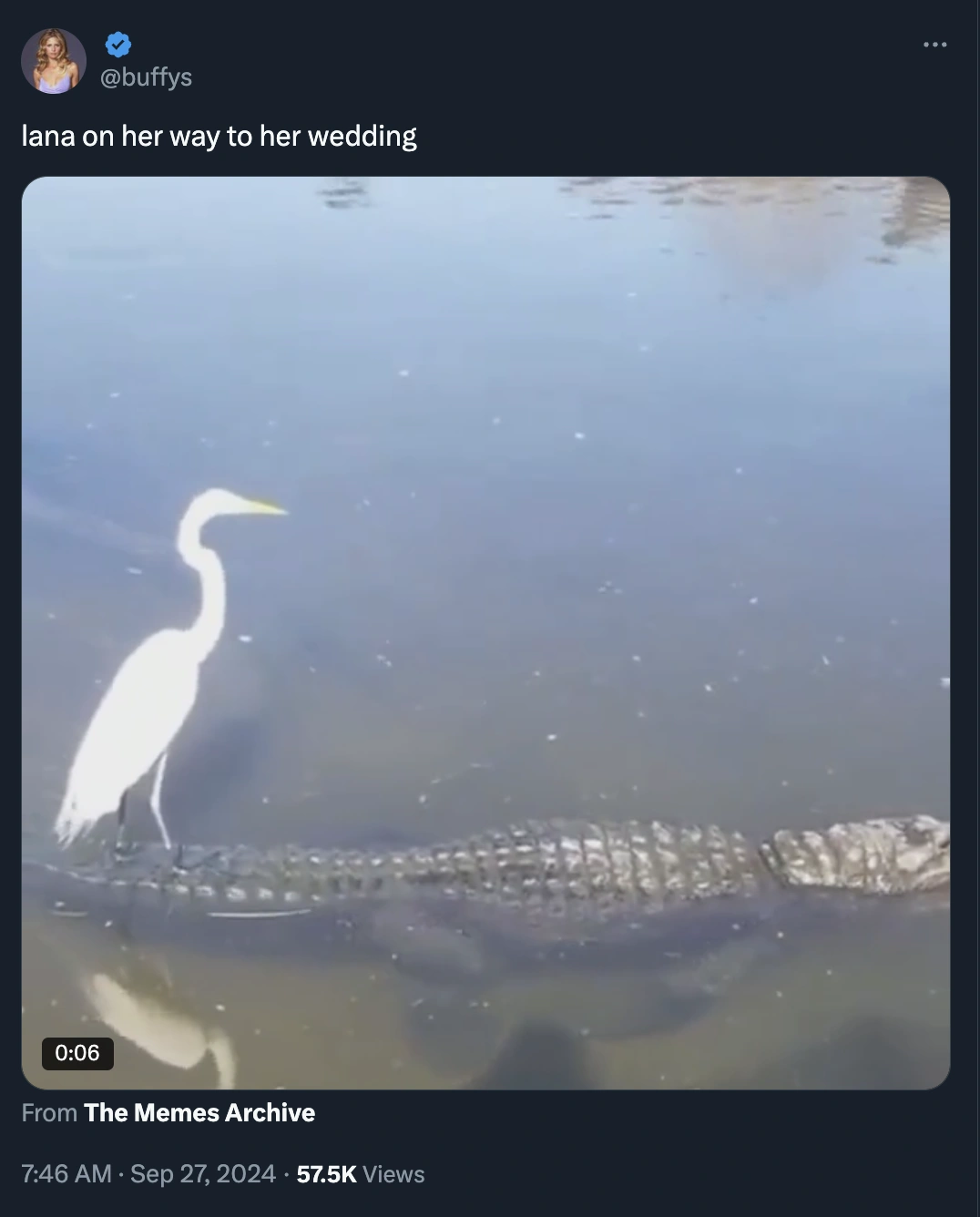 17 Hilarious Twitter Reactions to Lana Del Rey Tying the Knot with Alligator Tour Guide Jeremy Dufrene