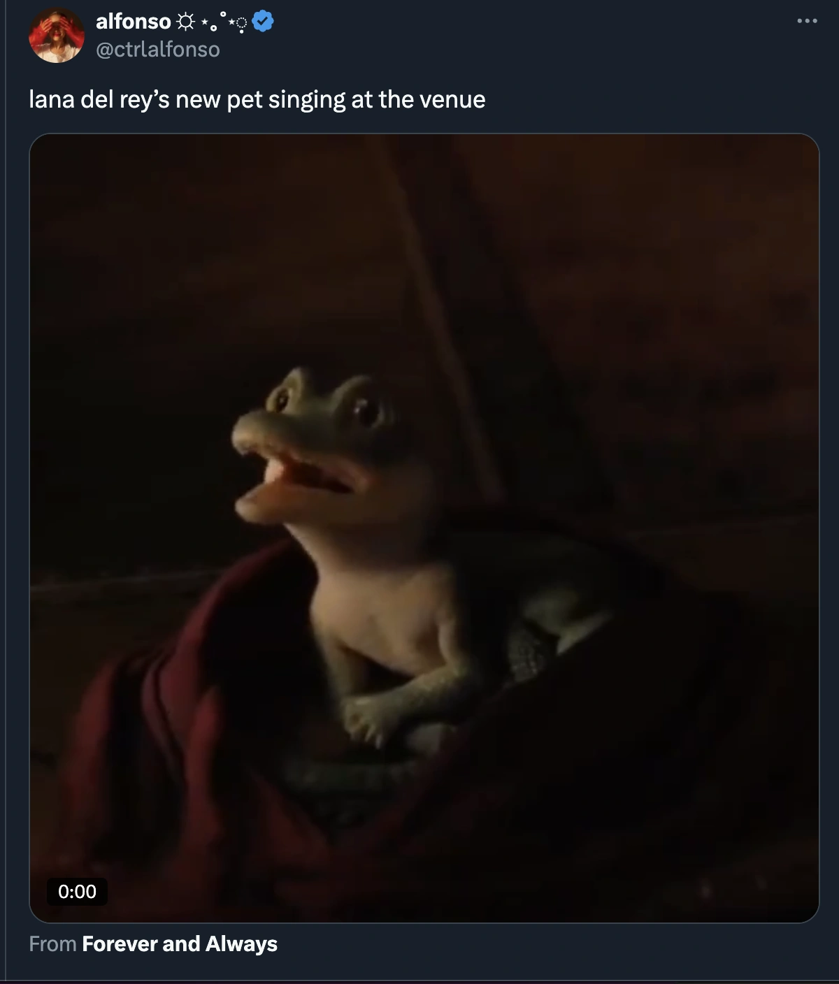 17 Hilarious Twitter Reactions to Lana Del Rey Tying the Knot with Alligator Tour Guide Jeremy Dufrene
