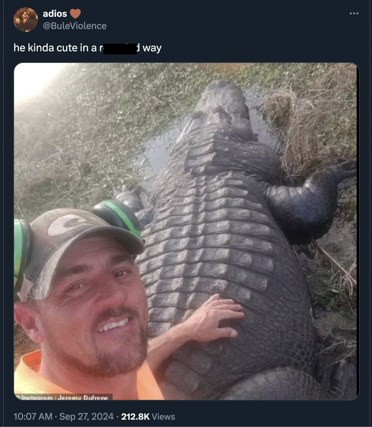 37 Hilarious Tweets That Will Make Your Day