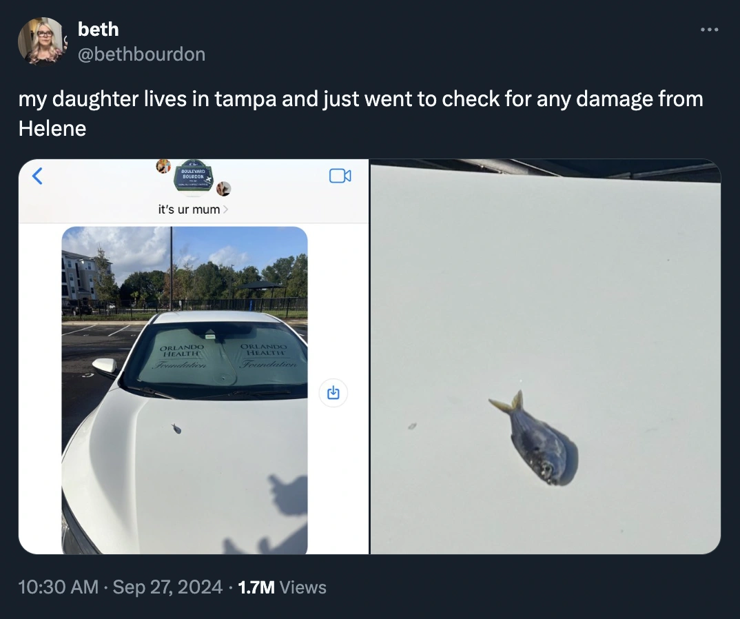 37 Hilarious Tweets That Will Make Your Day