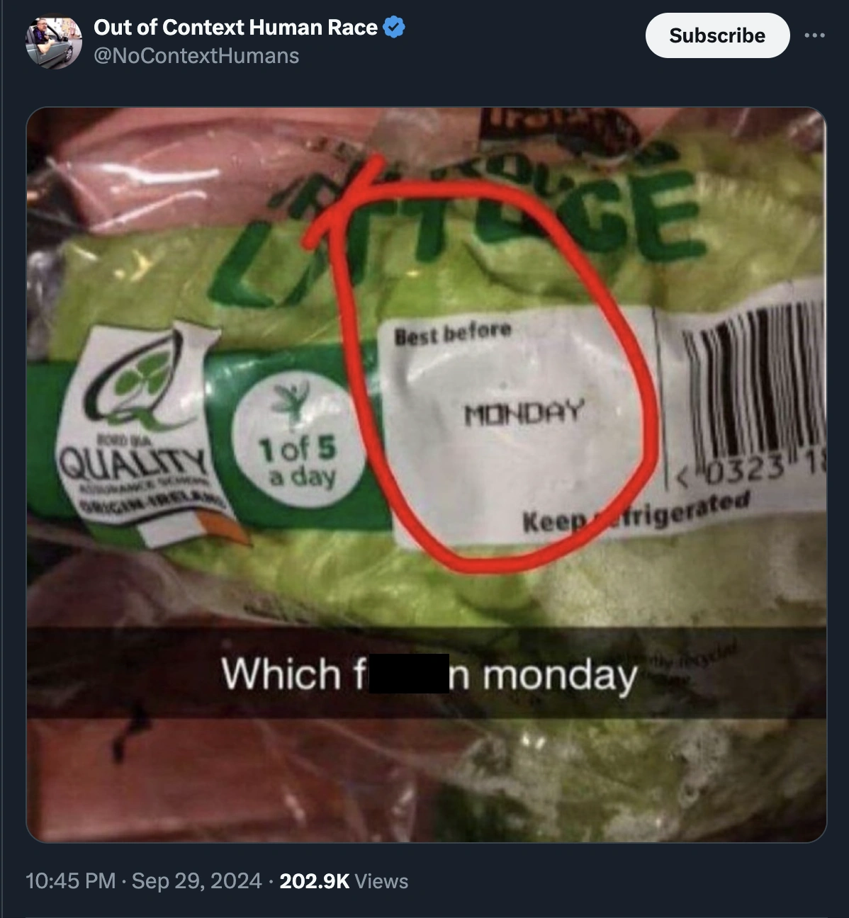 48 Hilarious Tweets That Will Make You Laugh in the Last Day