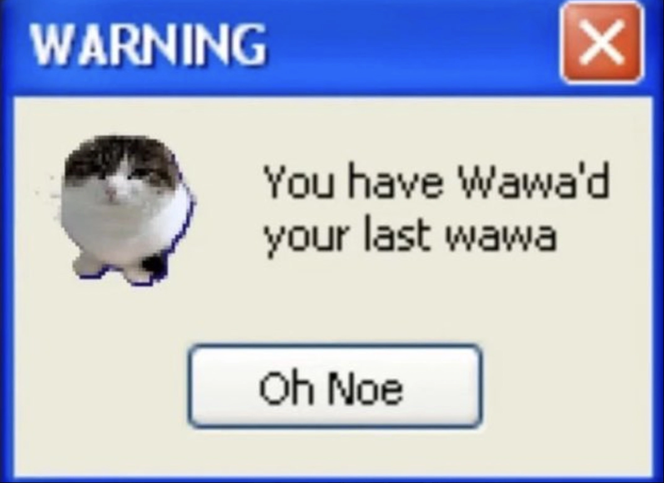 40 Forgotten Photos from the Early Days of the Internet