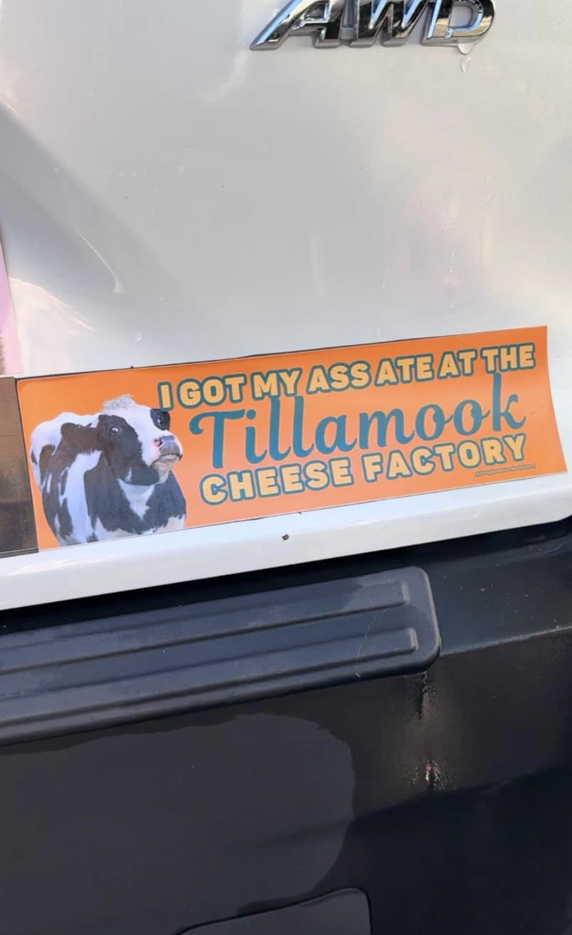 28 Insane Bumper Stickers That Almost Caused a Traffic Jam