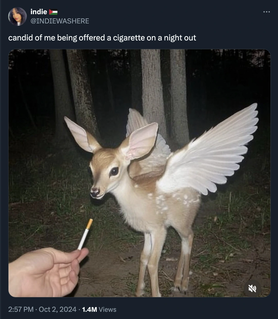 37 Hilarious Tweets That Will Make You Laugh in the Last Day