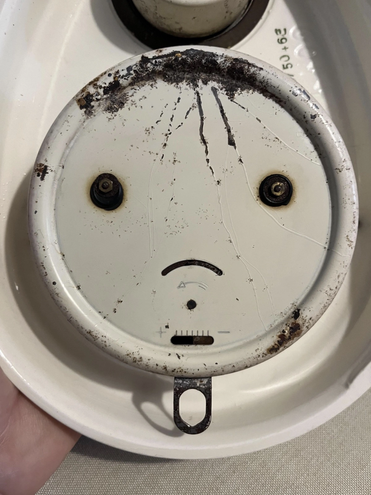 Encountering Pareidolia: 44 Inanimate Objects Revealing Faces