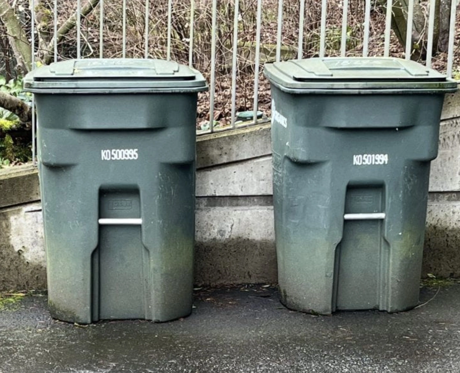 Encountering Pareidolia: 44 Inanimate Objects Revealing Faces