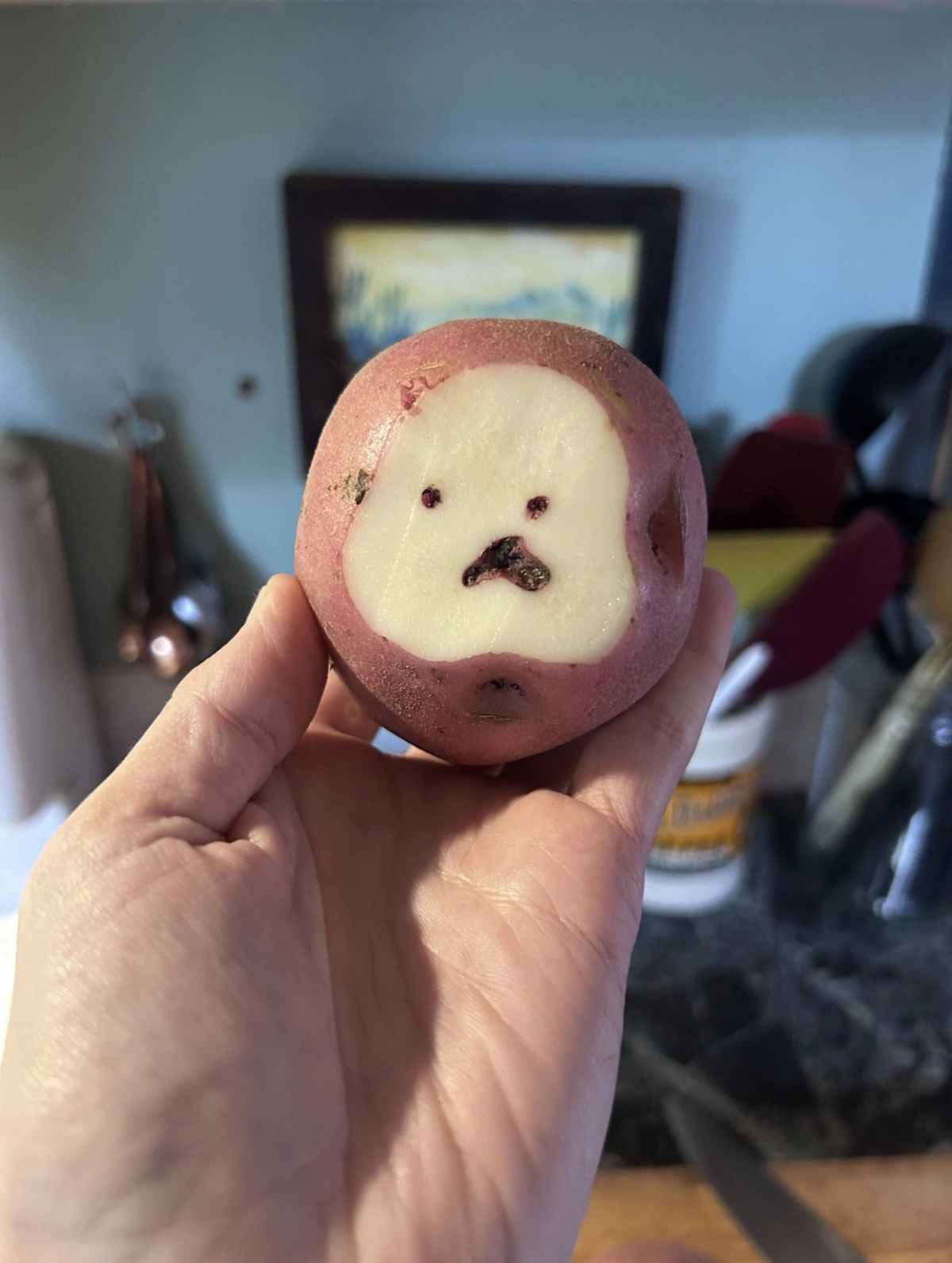 Encountering Pareidolia: 44 Inanimate Objects Revealing Faces