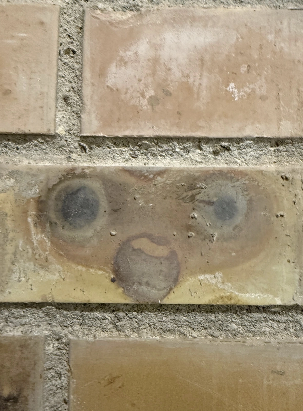 Encountering Pareidolia: 44 Inanimate Objects Revealing Faces