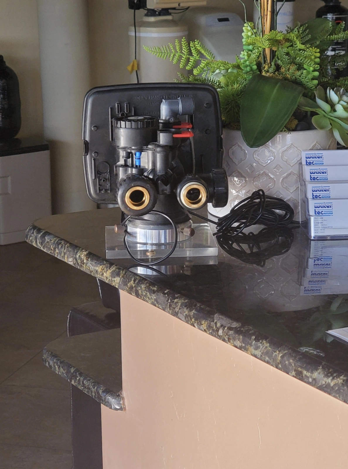 Encountering Pareidolia: 44 Inanimate Objects Revealing Faces