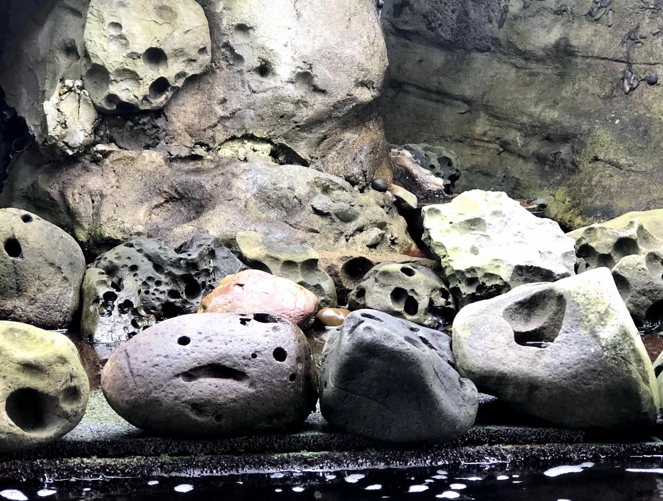 Encountering Pareidolia: 44 Inanimate Objects Revealing Faces