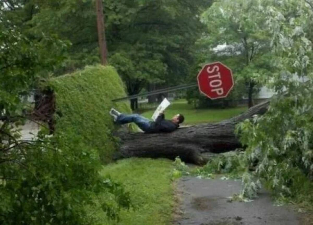 Start Your Week with a Bang: 37 Hilarious Pics and Memes to Brighten Your Monday Morning